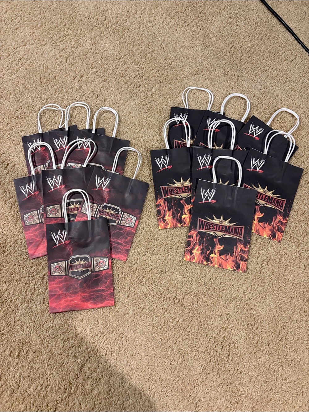 WWE Gift Bags in Black & Red Flame Design